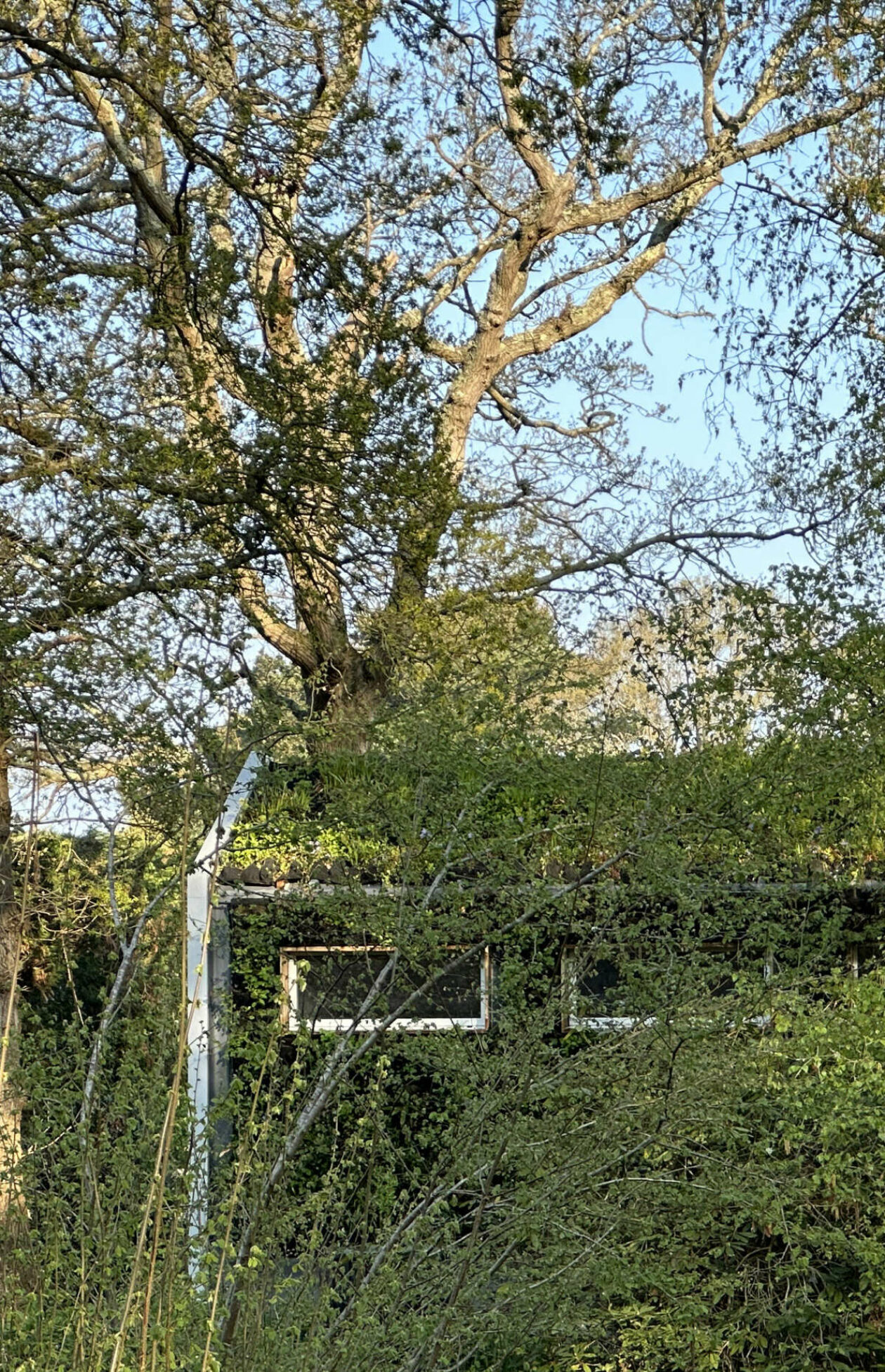 boathouse